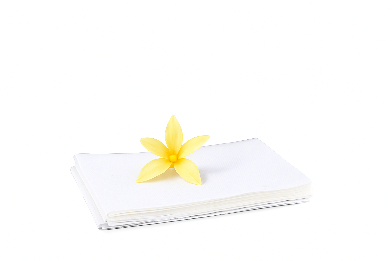 fogli per asciugatrice profumati ylang ylang